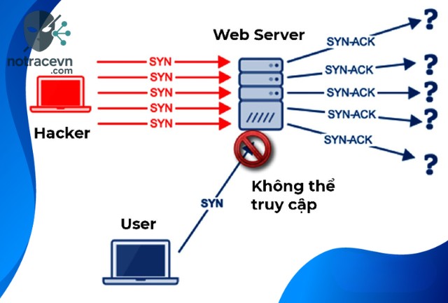 Ngày nay, Wifi đã trở thành một phần không thể thiếu trong cuộc sống của chúng ta