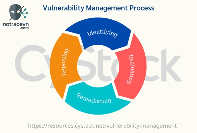 Việc hiểu và quản lý vulnerability là cực kỳ quan trọng